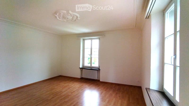 Sonnige 4.5 Zimmer-Wohnung mit grosser Terrasse (11)