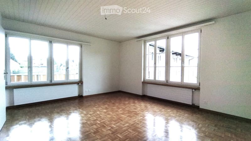 Appartamento soleggiato di 4,5 locali con grande terrazza (5)