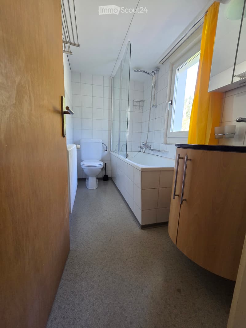 5.5 Zimmerwohnung in Wildhaus ab sofort zu vermieten (7)