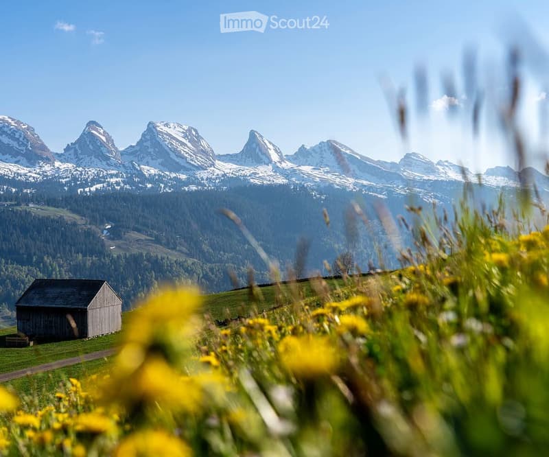 5.5 Zimmerwohnung in Wildhaus ab sofort zu vermieten (11)