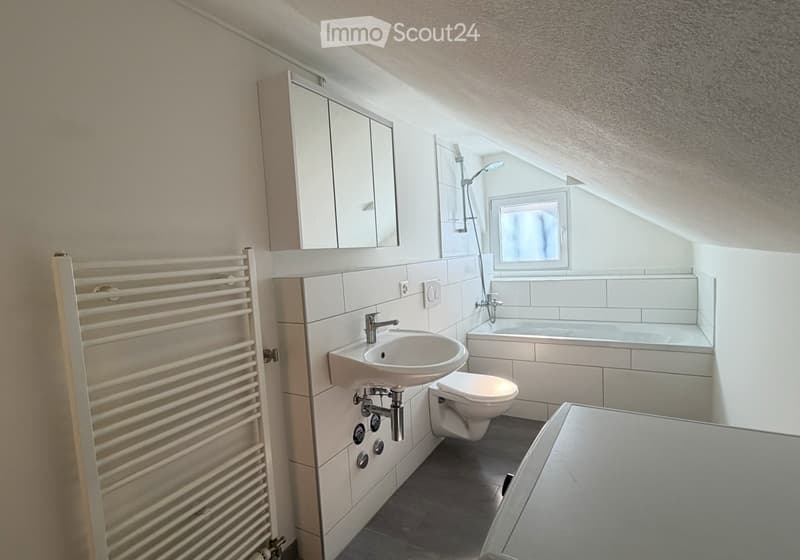 Helle, frisch renovierte 3 Zimmer Wohnung (4)