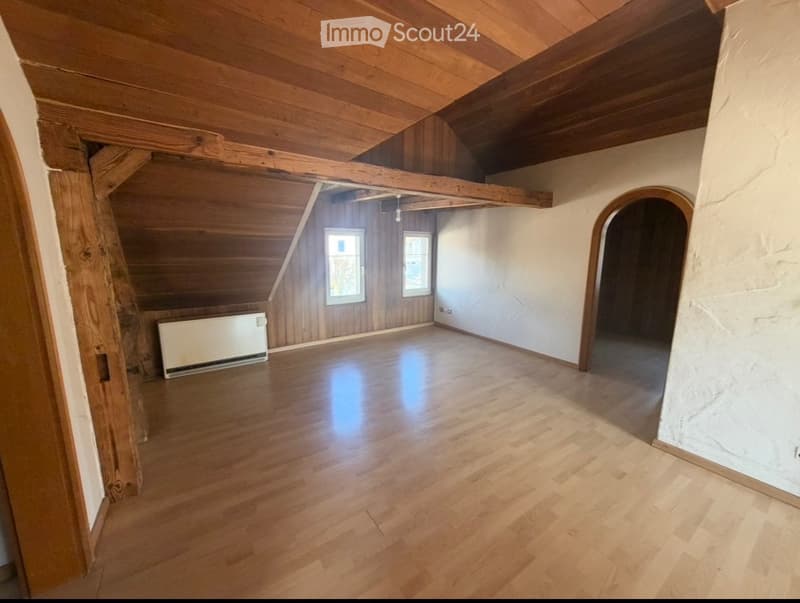Charmante 3 Zimmer Wonung (1)