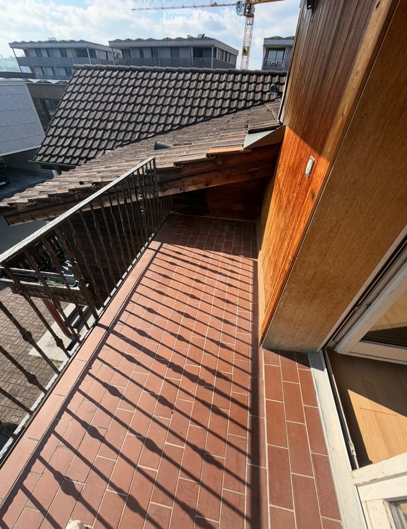 Charmante 3 Zimmer Wonung (3)