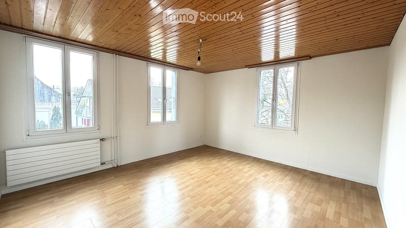 Appartement de 3,5 pièces lumineux, fraîchement rénové (4)