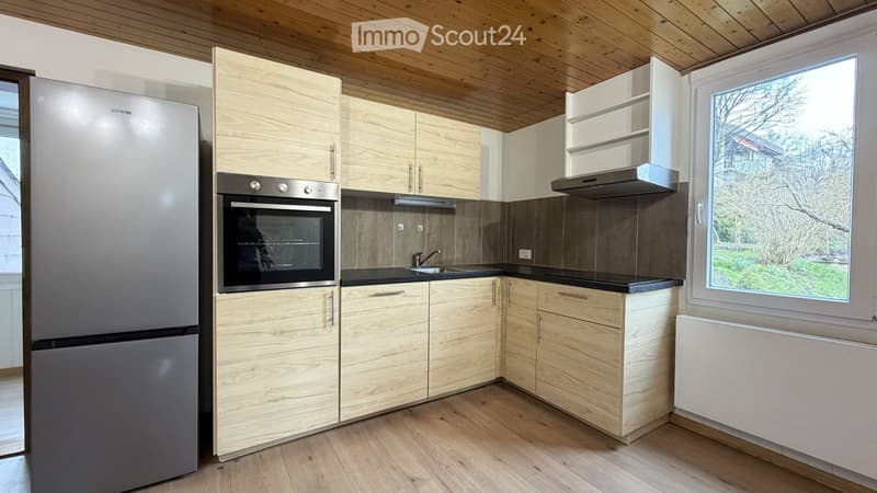 Appartement de 3,5 pièces lumineux, fraîchement rénové (1)