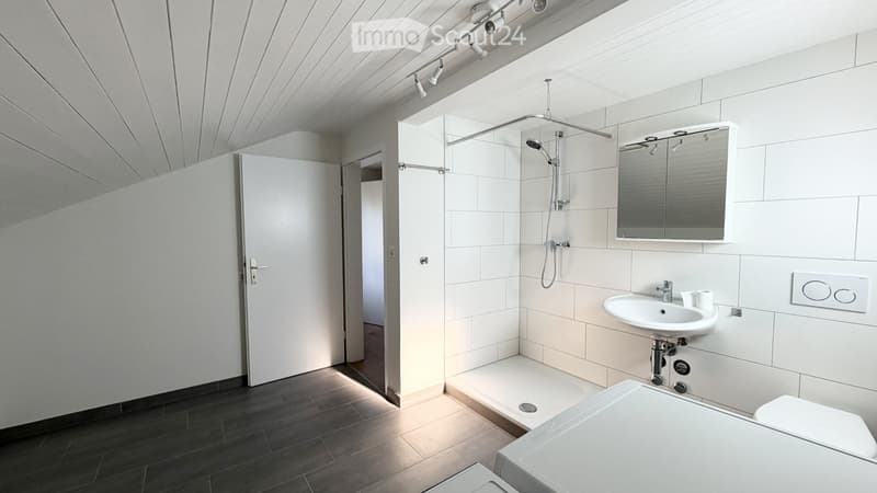 Appartement de 3,5 pièces lumineux, fraîchement rénové (7)