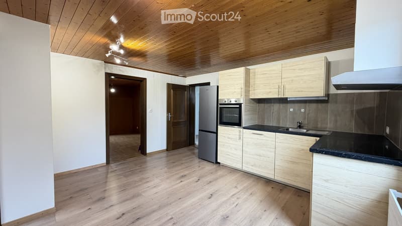 Appartement de 3,5 pièces lumineux, fraîchement rénové (2)