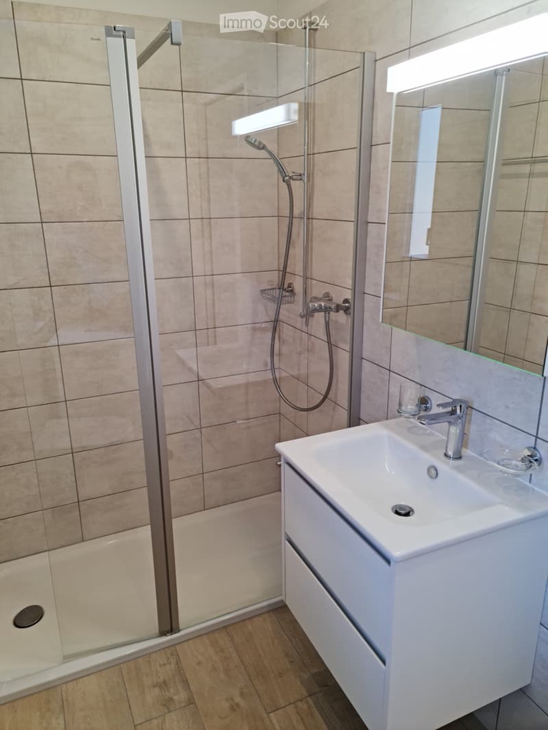 Appartement 3.5 pièces à Manno (4)