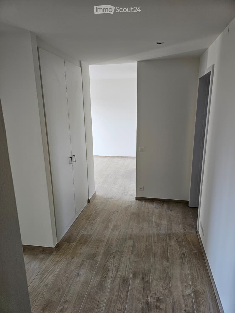 Appartement 3.5 pièces à Manno (3)