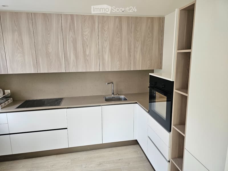 Appartement 3.5 pièces à Manno (1)