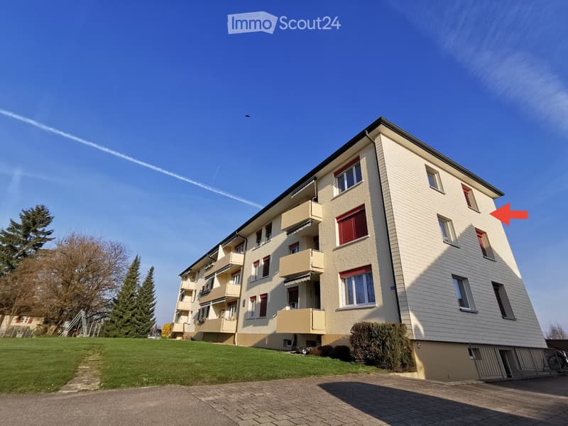 Appartamento luminoso di 3,5 locali al 3° piano con balcone (1)