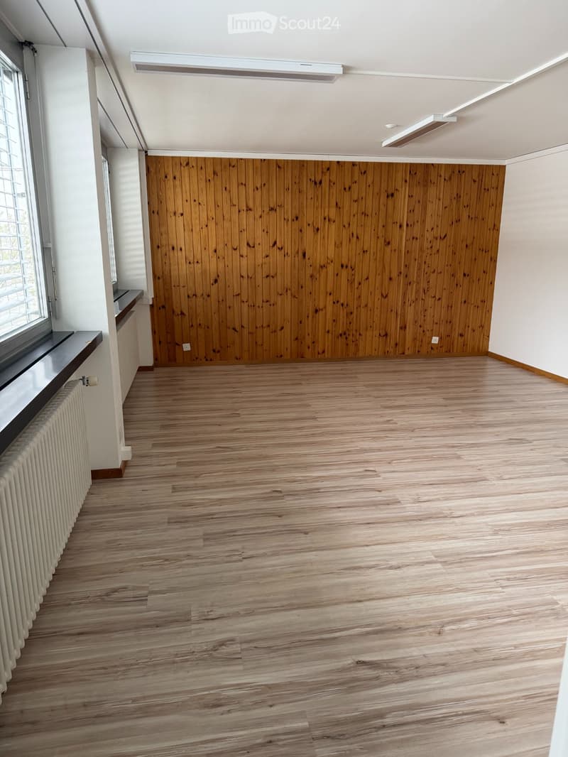 Appartamento mansardato (2)