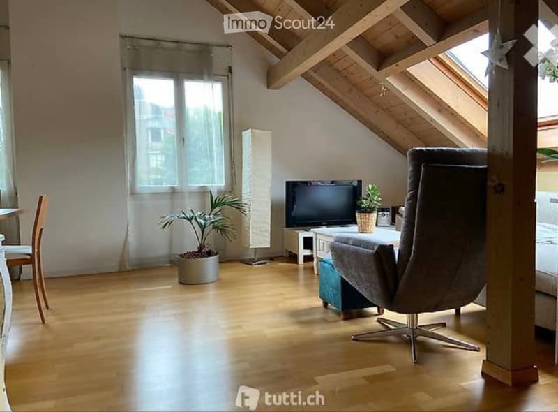 Apartment 2.5 rooms (1)
