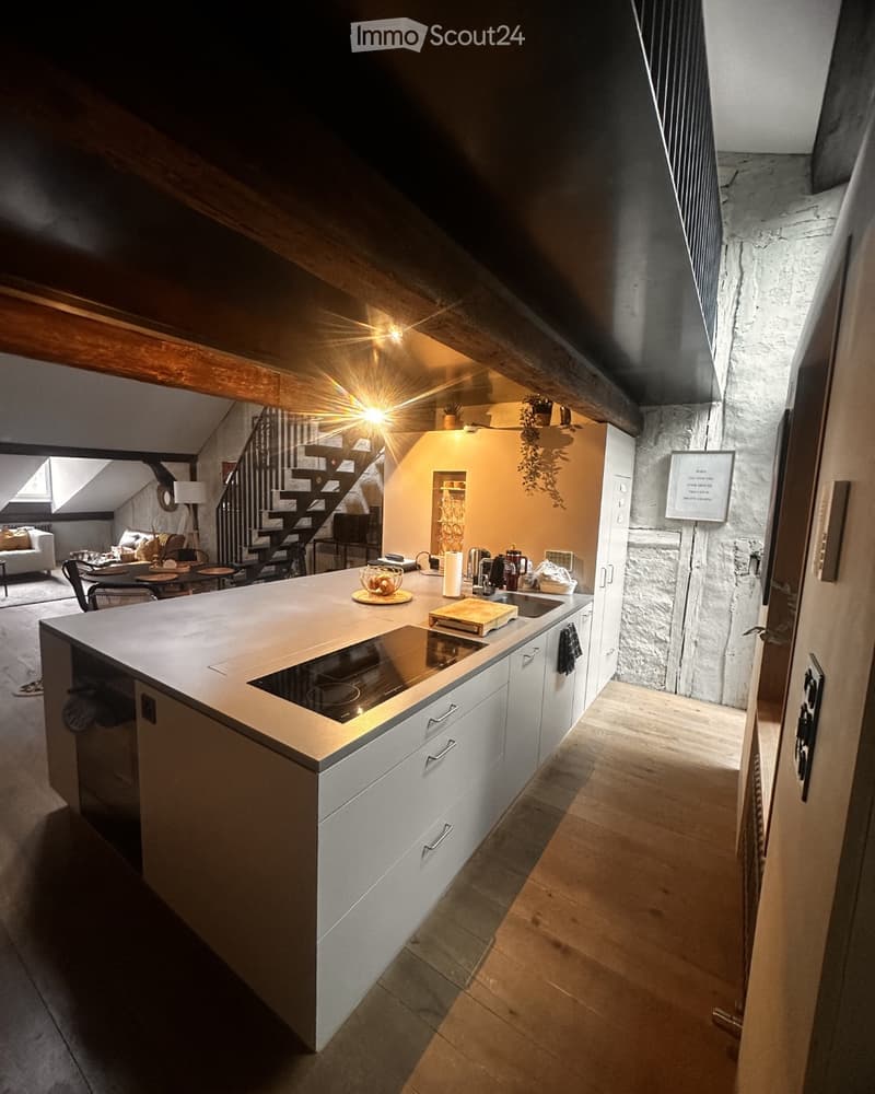 Appartement Duplex/Maisonette à Berne (2)