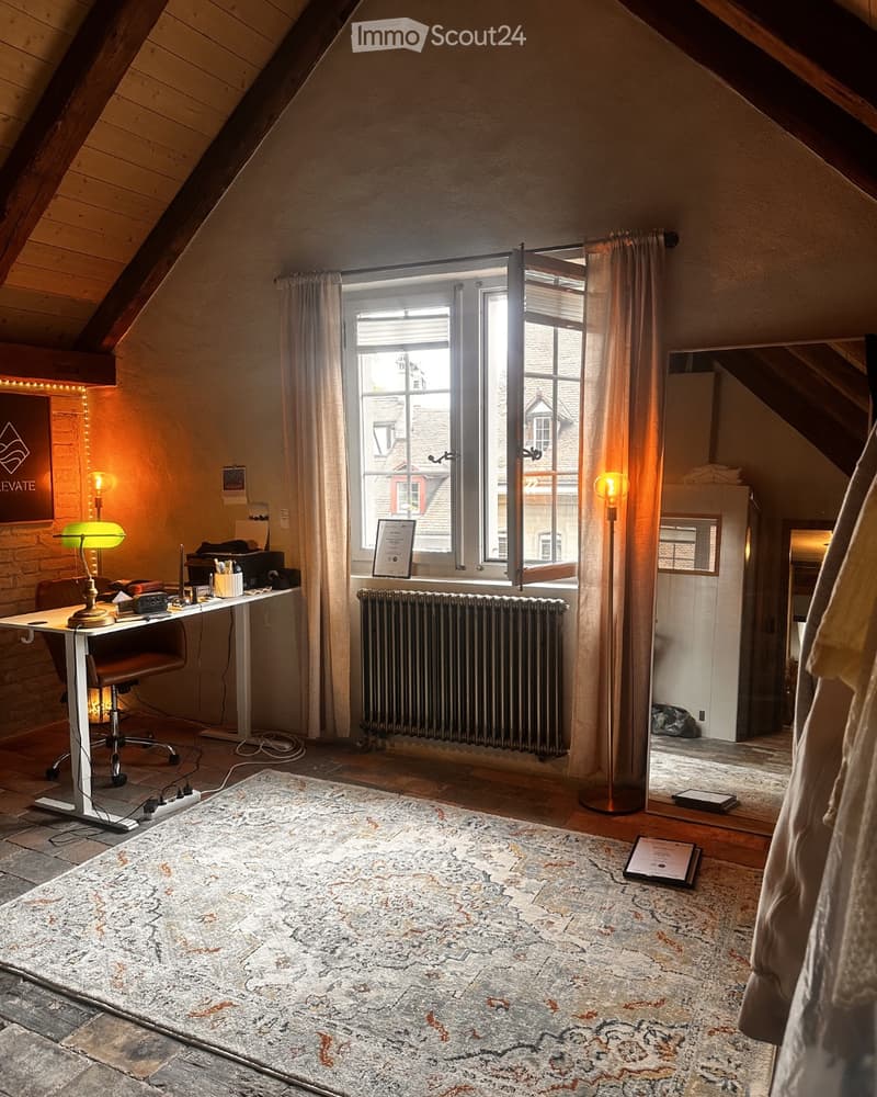 Appartement Duplex/Maisonette à Berne (3)