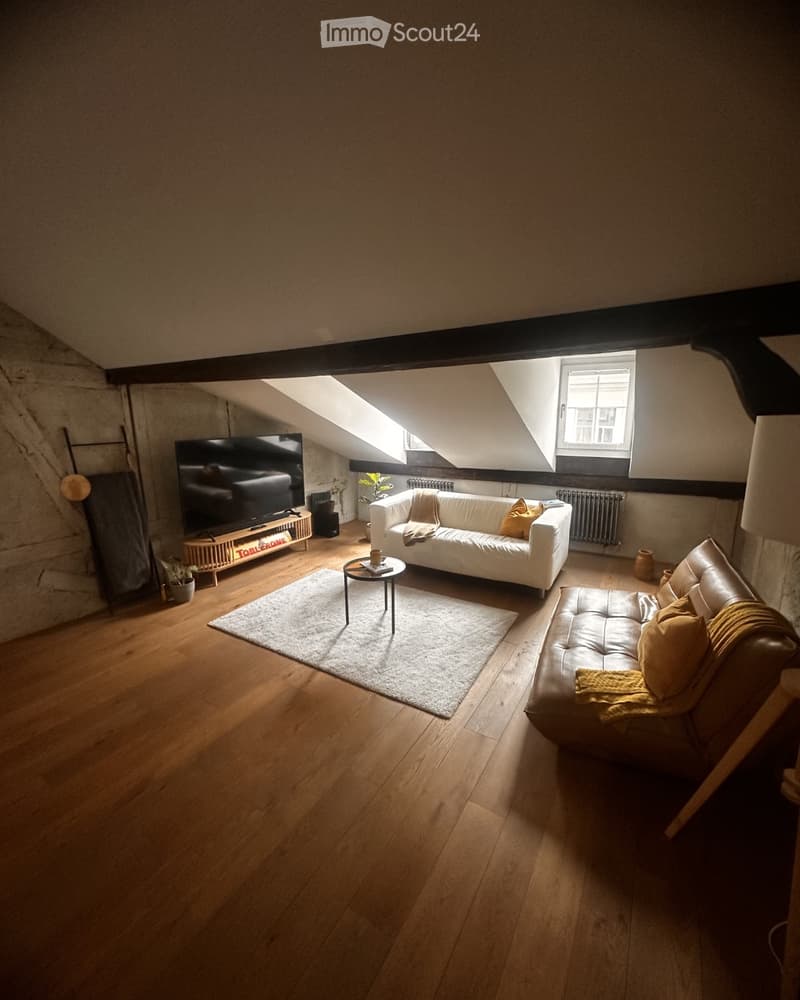 Appartement Duplex/Maisonette à Berne (5)