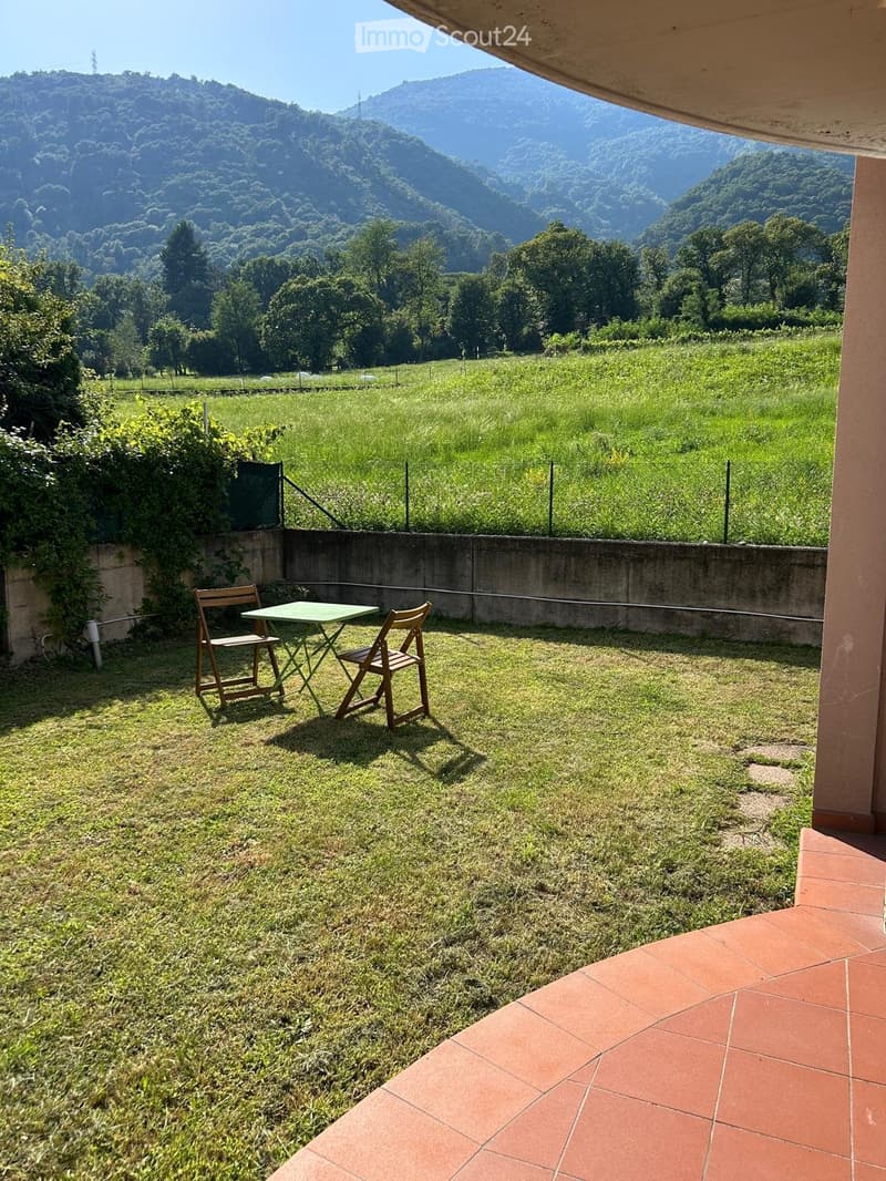 Einfamilienhaus Bedano (1)