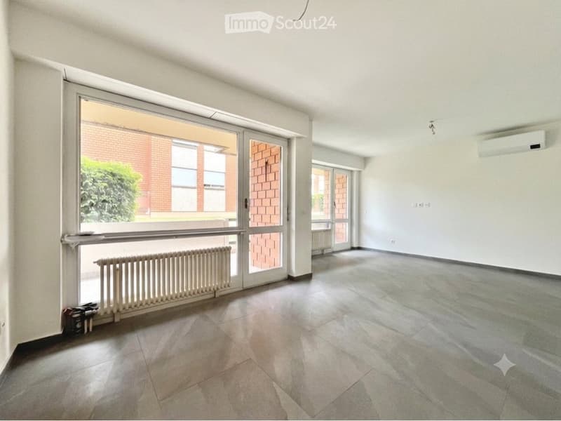 Mendrisio 3.5 rooms renovated with terrace and parking space (2)