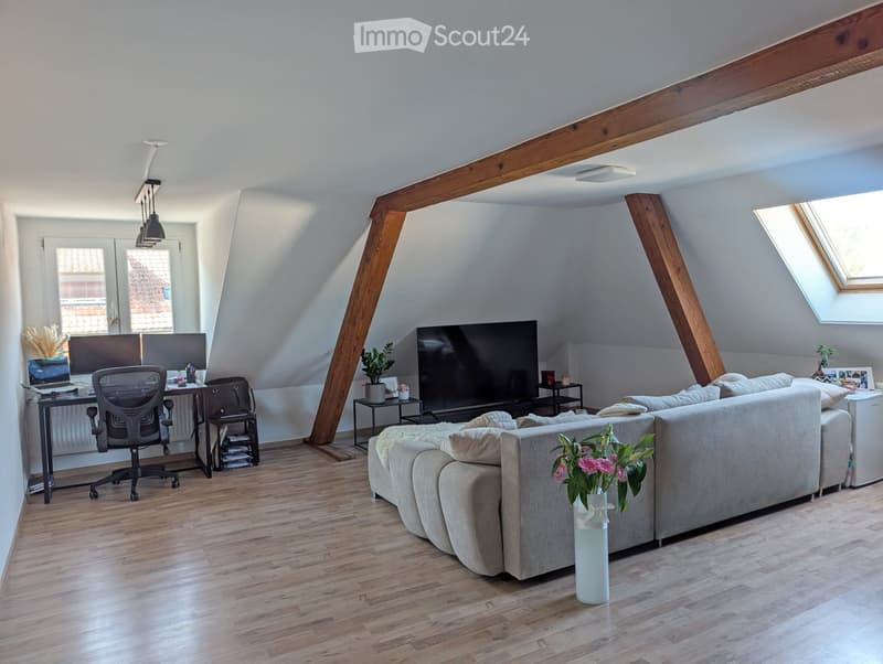 Charmante, helle 2.5 Zimmer Dachwohnung (4)