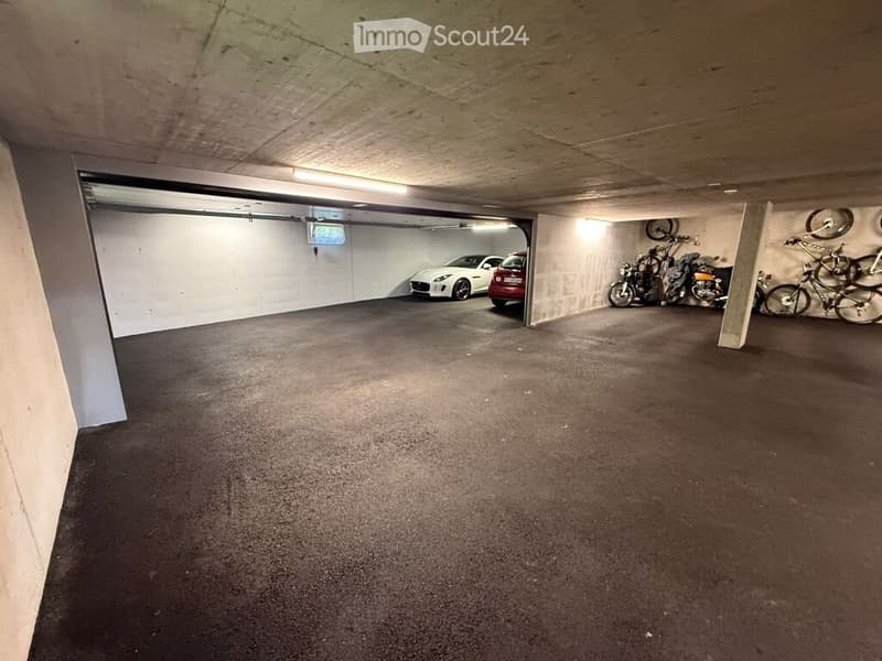 Spacious apartment with private garage (5)