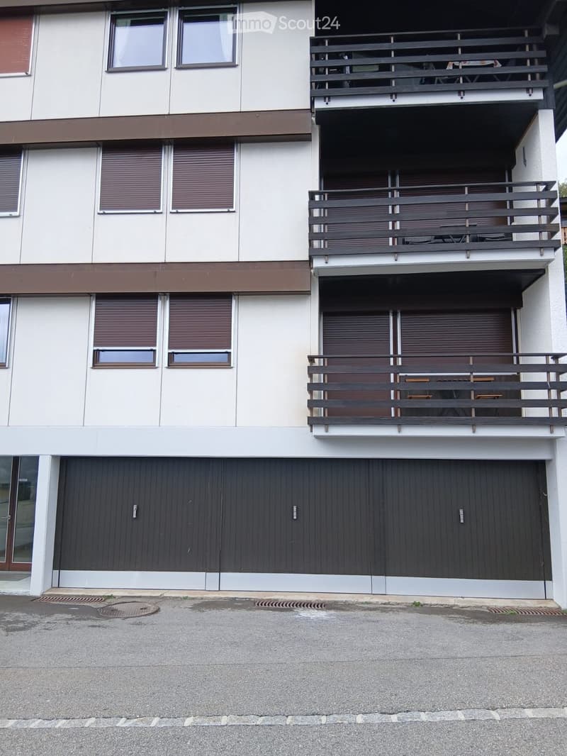 Sale of furnished apartment in Cari (Leventina) (5)