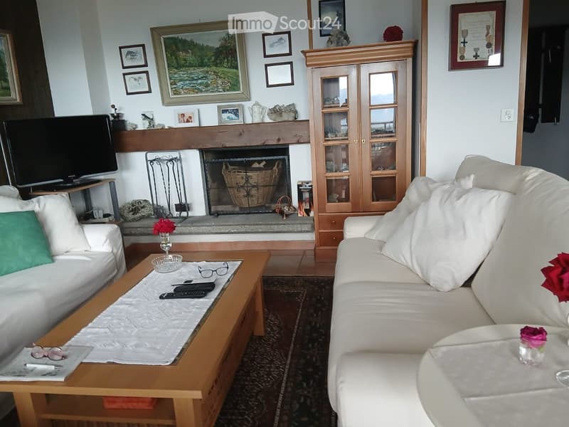 Sale of furnished apartment in Cari (Leventina) (4)