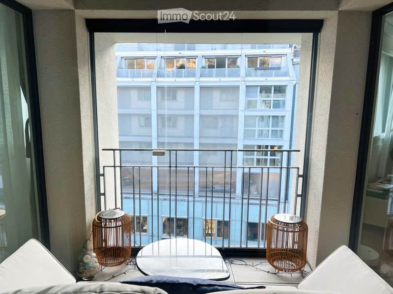 Furnished apartment with balcony and top equipment Central (3)