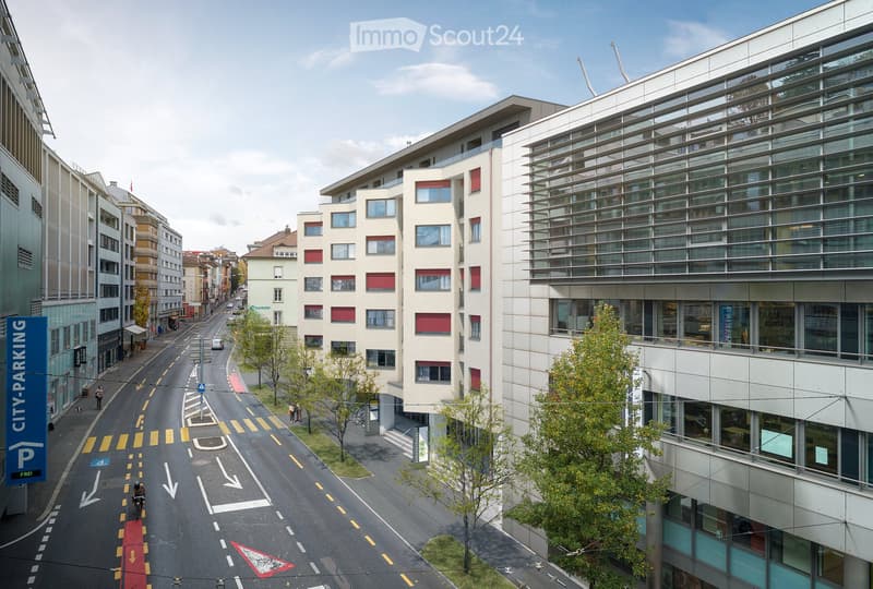 Furnished apartment with balcony and top equipment Central (7)