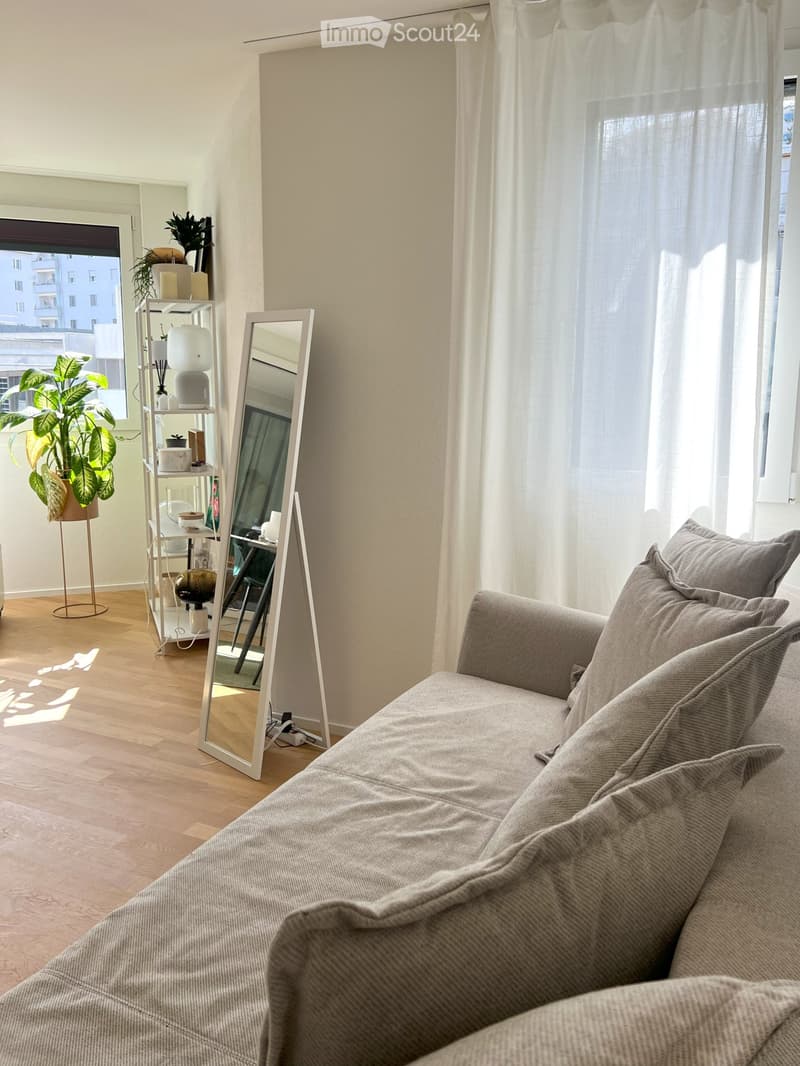 Furnished apartment with balcony and top equipment Central (4)