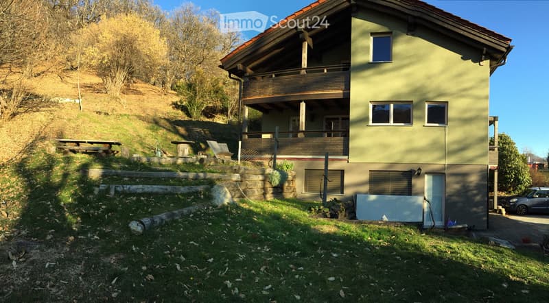 Affittasi grande casa con giardino (5)