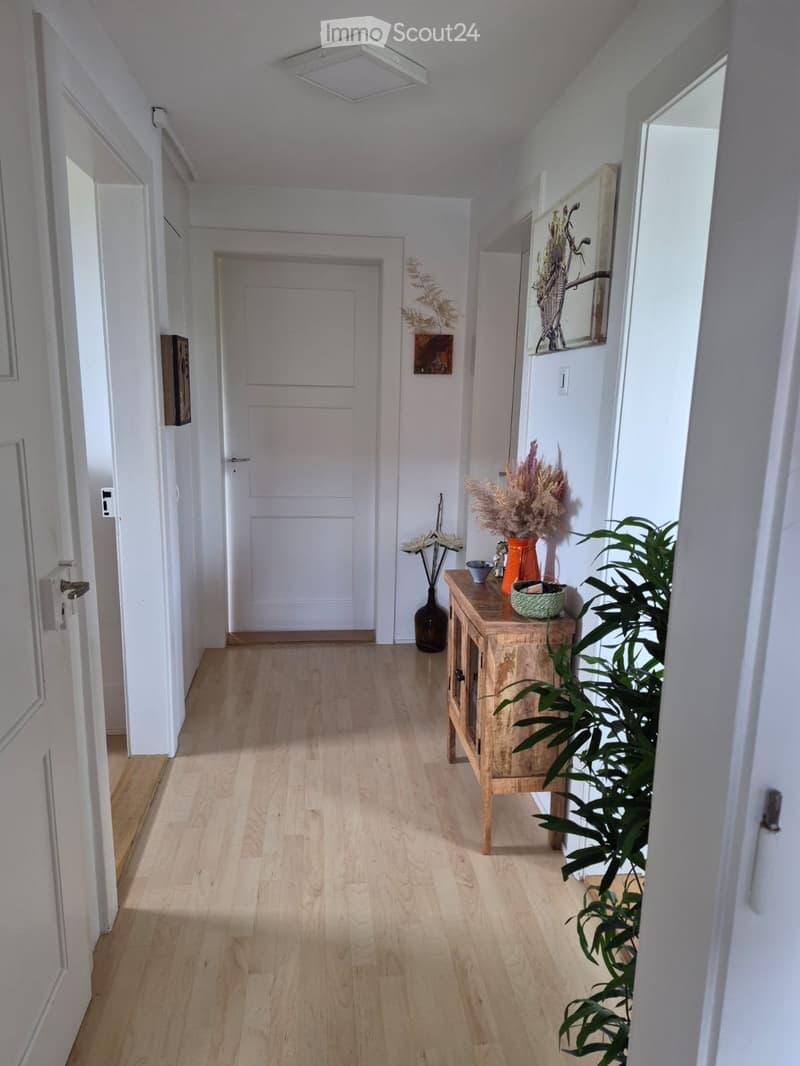 Bello appartamento 3 locali (4)