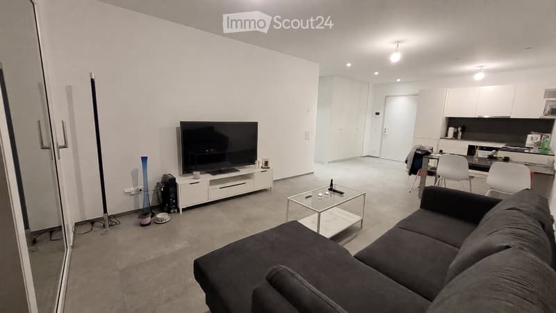 Helles 2.5-Zimmer-Apartment (1)