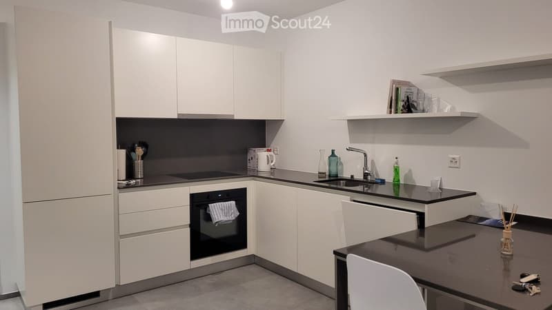 Helles 2.5-Zimmer-Apartment (2)