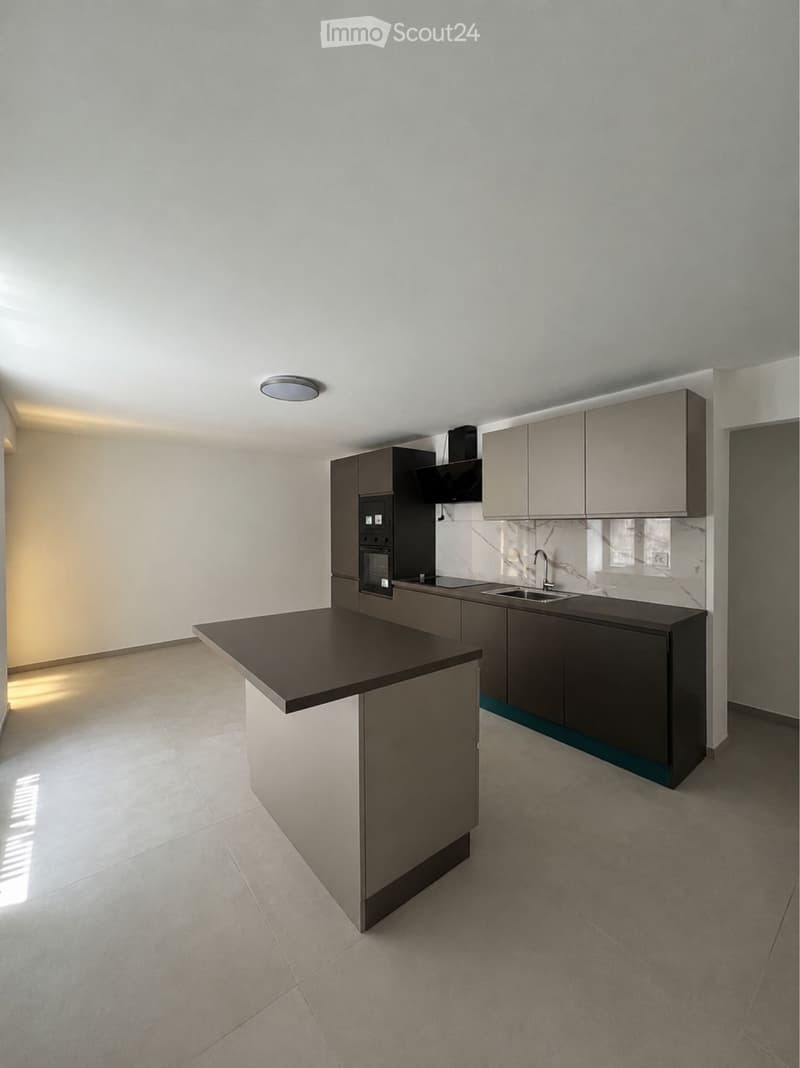 3 rooms + hobby room (2)