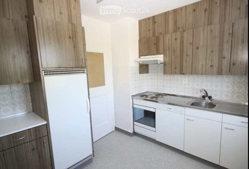 Appartement 4,5 pièces sur arrangement (2)