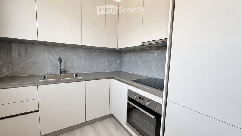 5,5 locaux rénovés en location à Coldrerio (1)