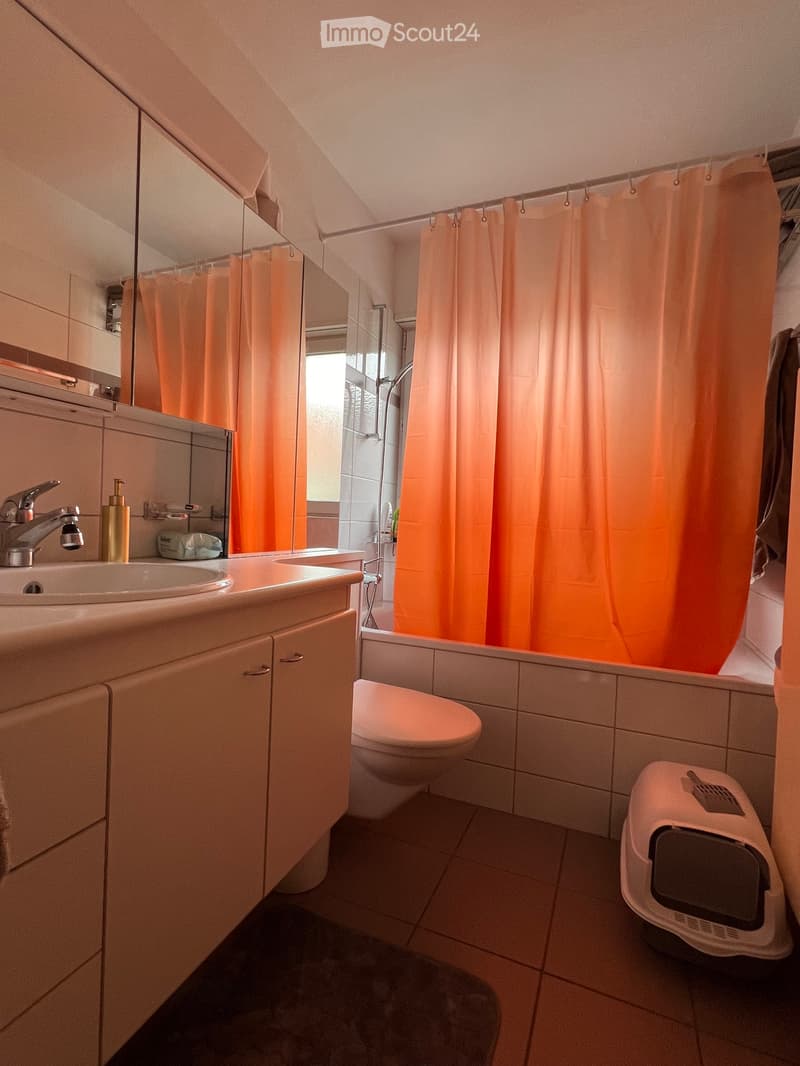 Appartamento di 4 camere disponibile dal 1 agosto a Wettingen (2)