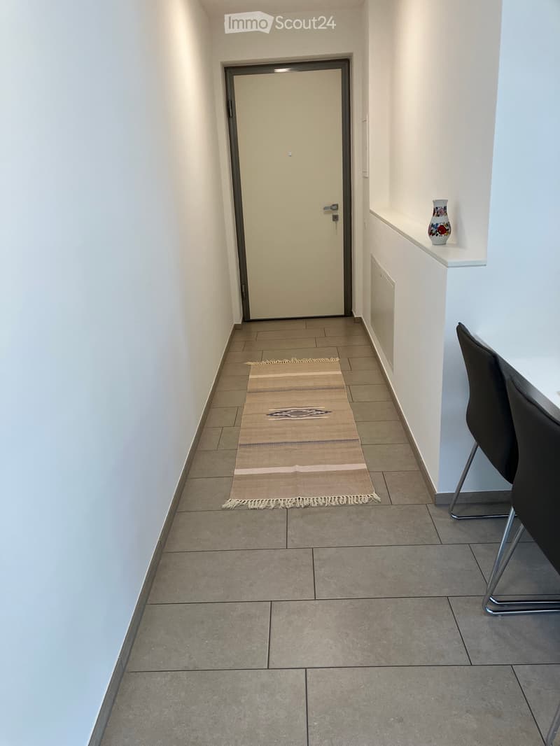 Appartamento arredato (3)