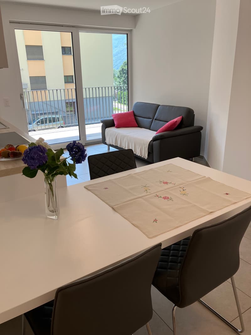 Appartamento arredato (1)