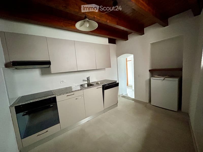 Vezio-Alto Malcantone: Appartement meublé à louer (4)