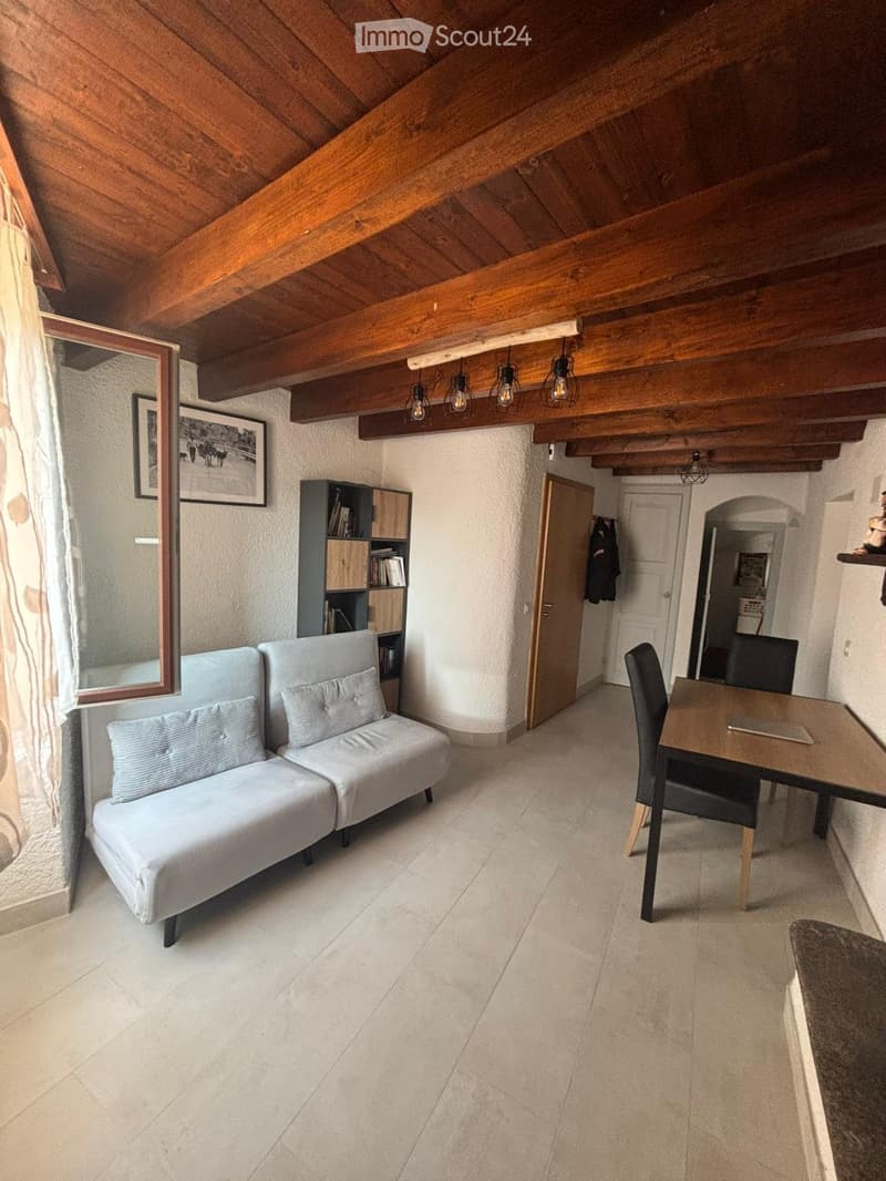 Vezio-Alto Malcantone: Appartement meublé à louer (2)