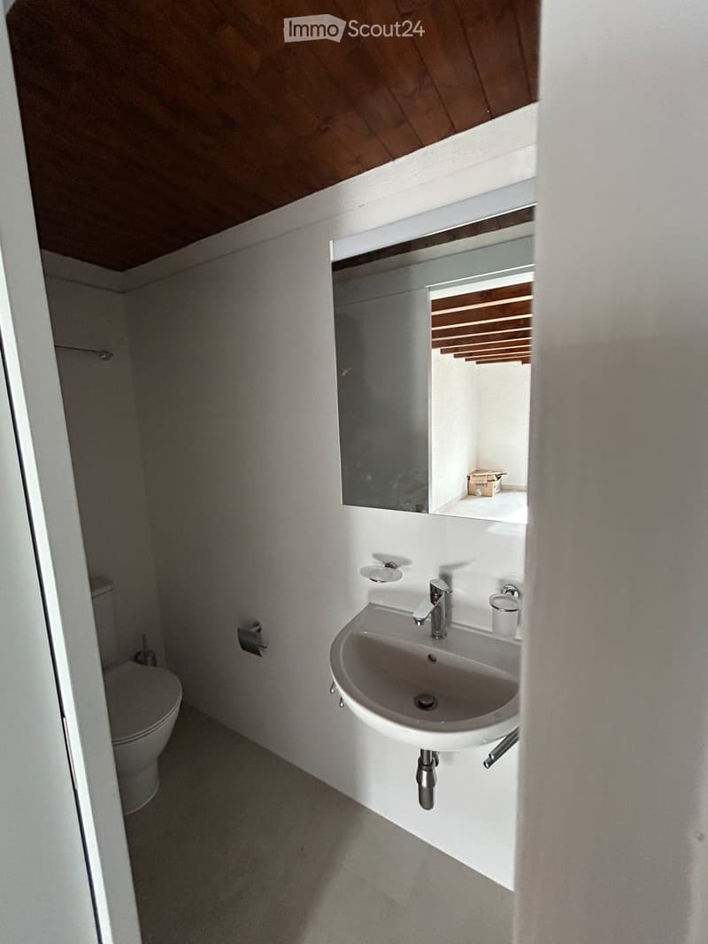 Vezio-Alto Malcantone: Appartement meublé à louer (5)