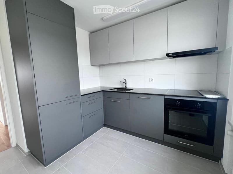 Delizioso appartamento 3 locali a Widnau (5)