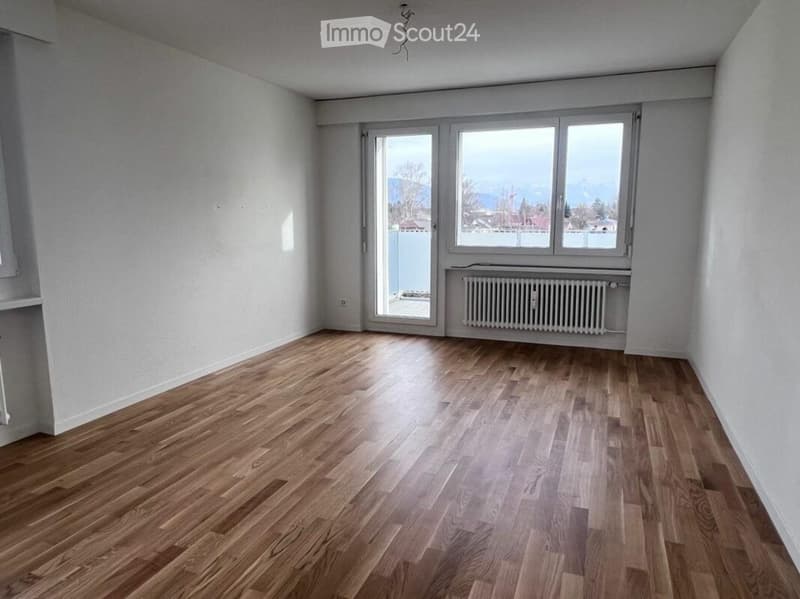 Delizioso appartamento 3 locali a Widnau (2)