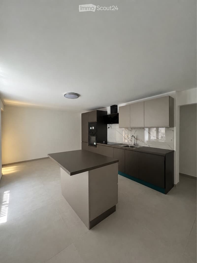 Single-family house - 3 rooms + hobby room and terrace (1)