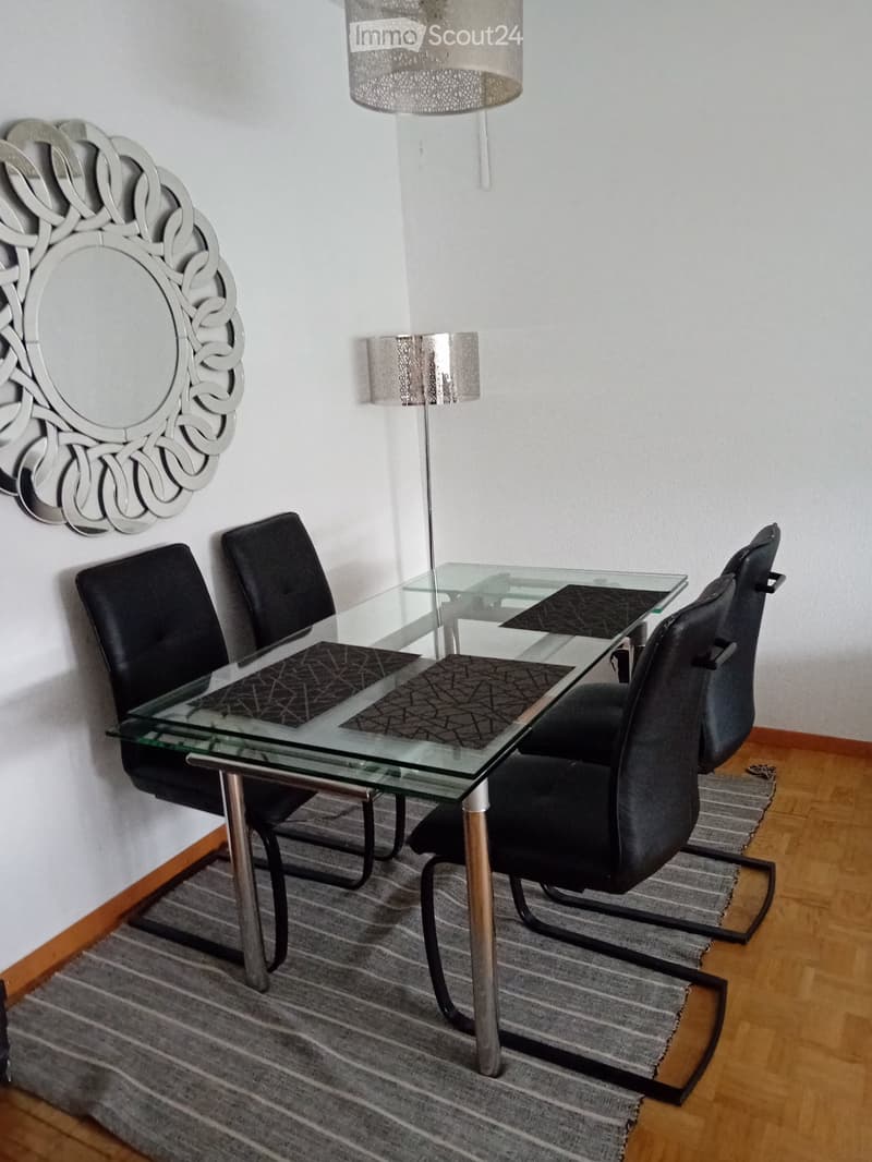 Appartement möbliert - nahe Bahnhof Cornavin Genf (5)
