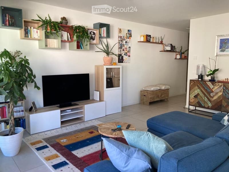 Affittasi moderno appartamento di 3.5 locali a PambioNoranco (1)
