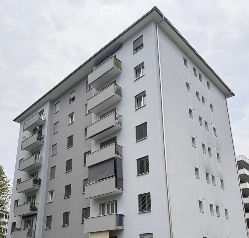 Appartamento 4,5 ristrutturato (1)