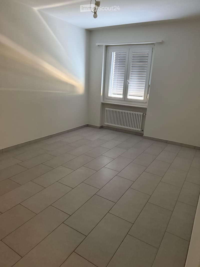 Appartamento 4,5 ristrutturato (4)