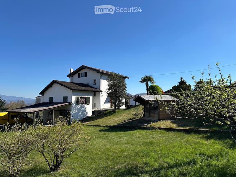 Affitto appartamento soleggiato (5)